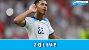 2qlive
